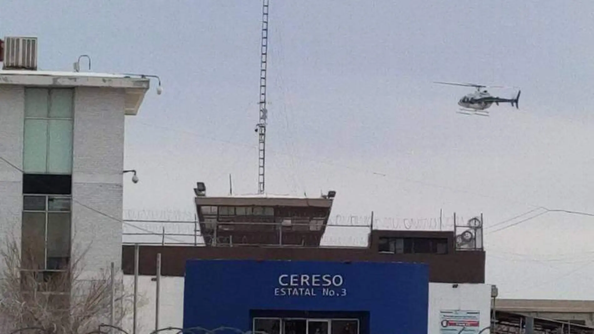 cereso operaito